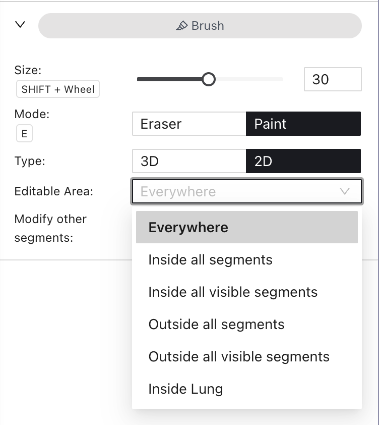 Editable Area menu in Voxel Brush settings