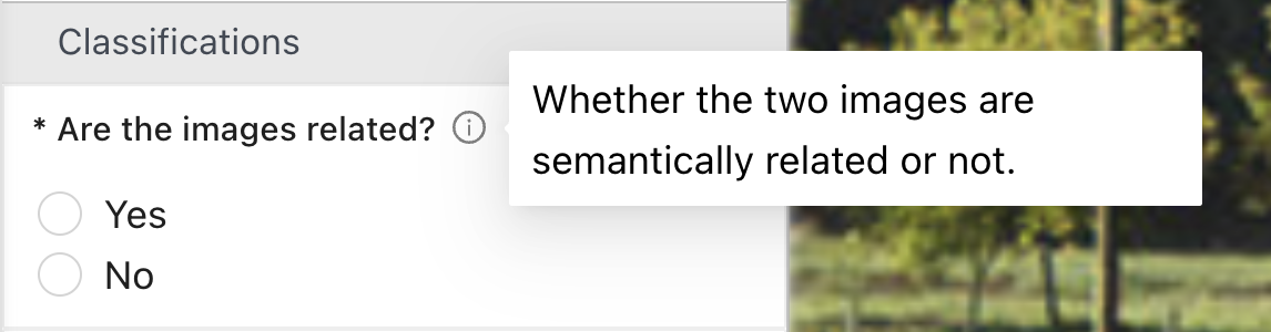 Classification description shown beside the classification title in the labeling editor